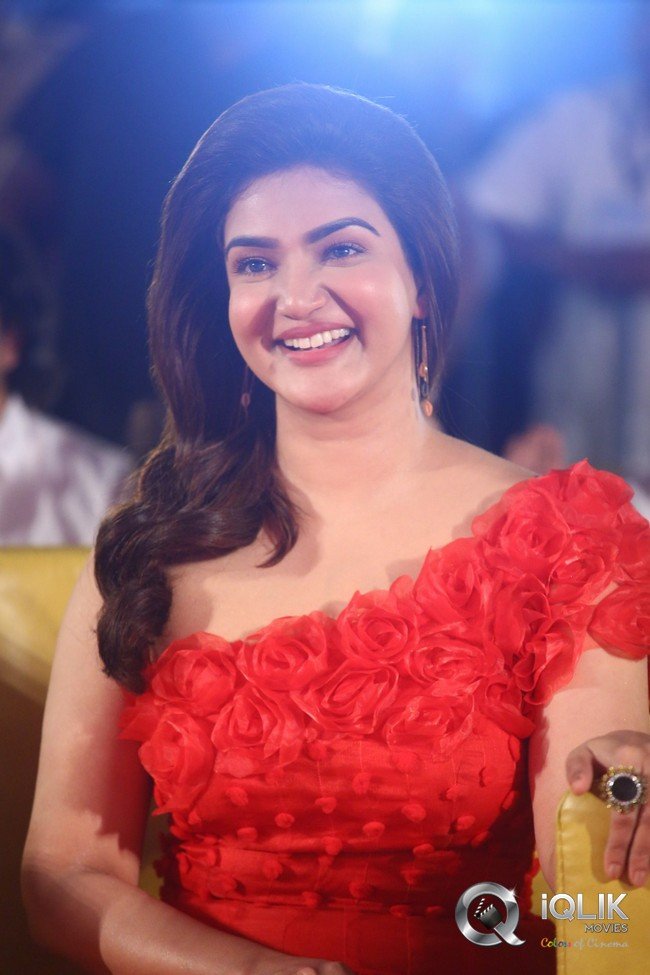 VeeraSimhaReddy-Pre-release-event